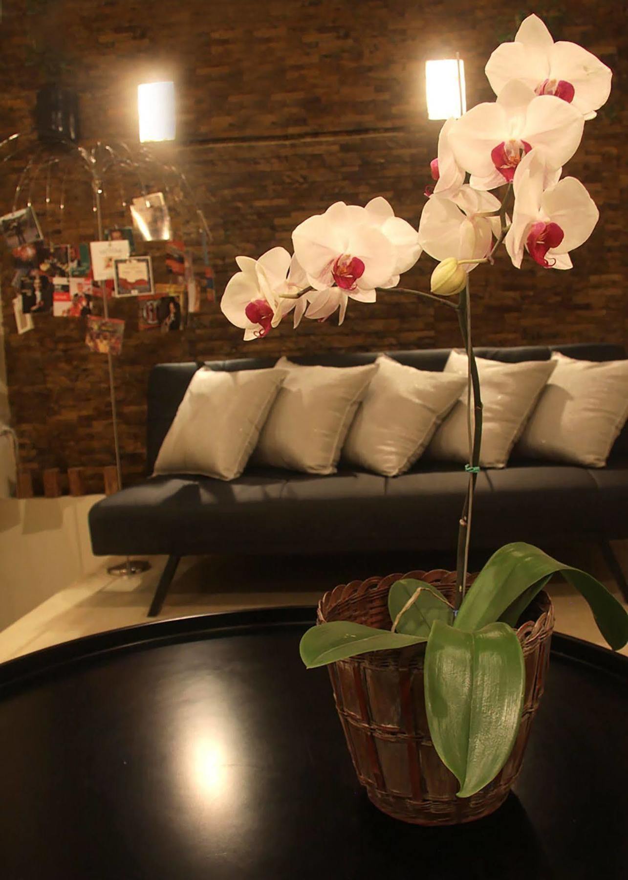6 Suites Hotel โบโกตา ภายนอก รูปภาพ